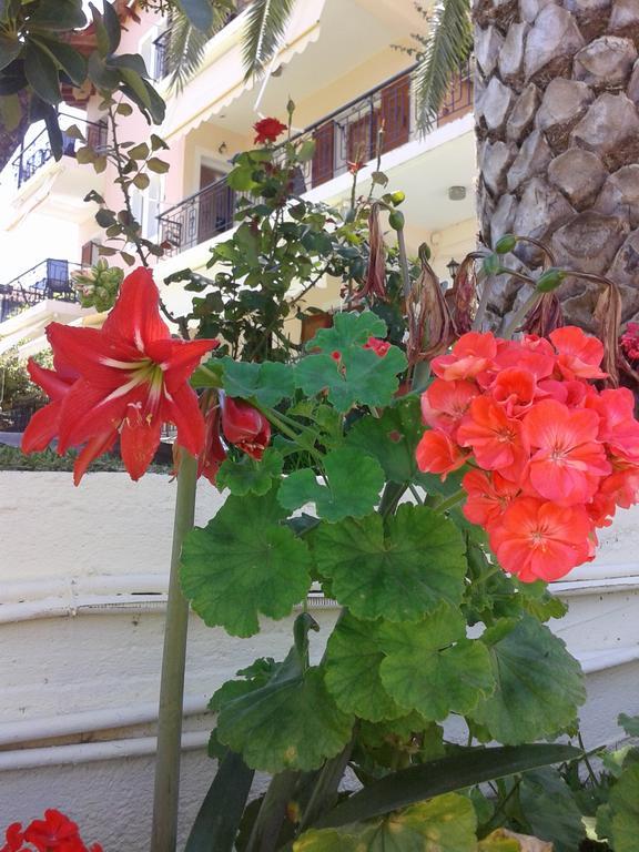 Aggeliki Apartments Nikiana Ruang foto